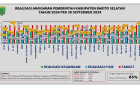 Grafik Realisasi