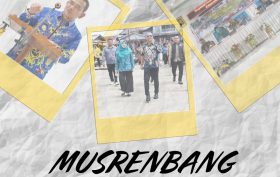 info Prokopim